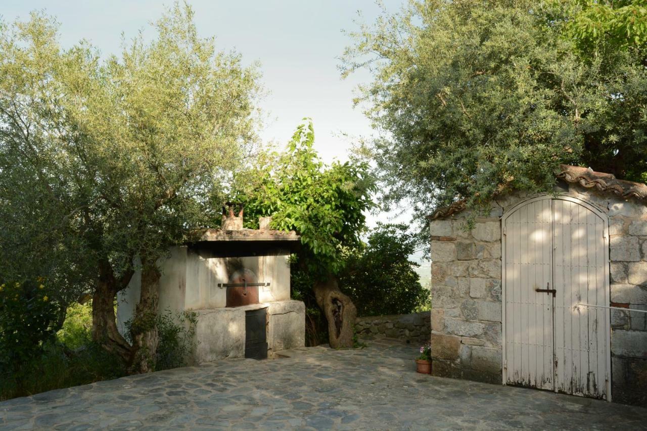 Mistra Estates Villa The Vine Pikouliánika Exteriör bild